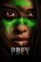 Prey Prey