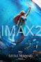 The Little Mermaid (2023) The Little Mermaid (2023)