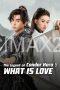 The Legend of Condor Hero What is Love (2025)