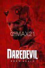 Daredevil Born Again (2025)