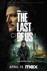 The Last of Us Season 2 (2025)