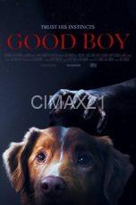 Good Boy (2025)