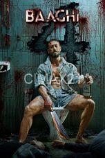 Baaghi 4 (2025)
