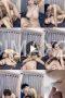 Video Syur Selebgram (2025)