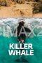 Killer Whale (2026)