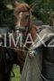 A Knight of the Seven Kingdoms Episode 6 (2026) A Knight of the Seven Kingdoms Episode 6 (2026)