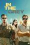 In the Grey (2026) In the Grey (2026)