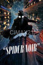 Spider-Noir (2026)