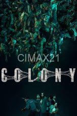 Colony (2026)