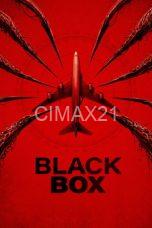 Black Box (Flight 298) (2026)